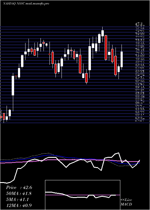  weekly chart NapcoSecurity