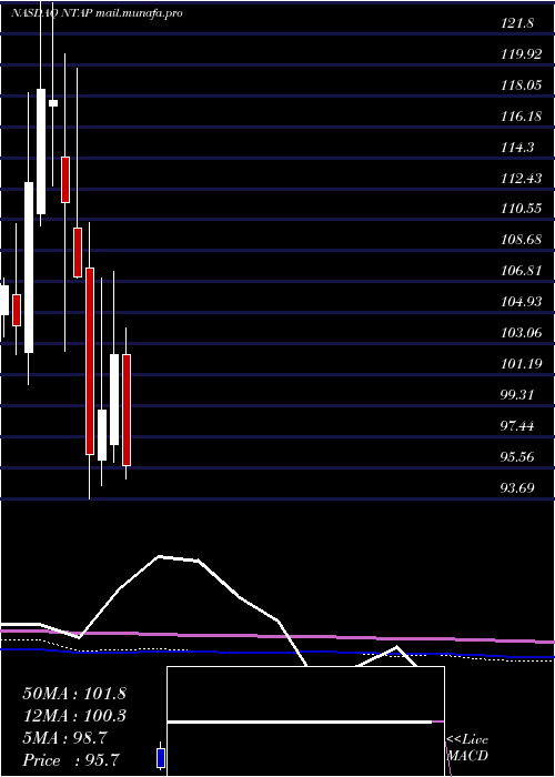  monthly chart NetappInc