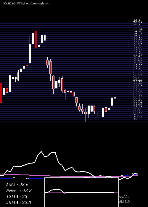  weekly chart NetgearInc