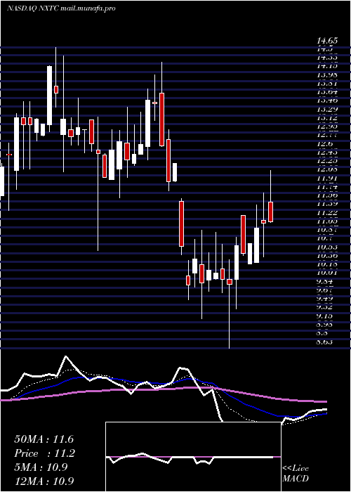  Daily chart NextcureInc