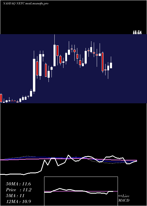  weekly chart NextcureInc