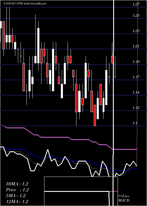  Daily chart OpkoHealth
