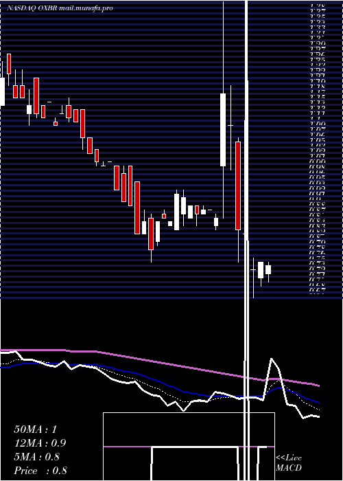 Daily chart OxbridgeRe