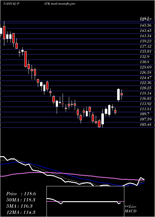  Daily chart PatrickIndustries
