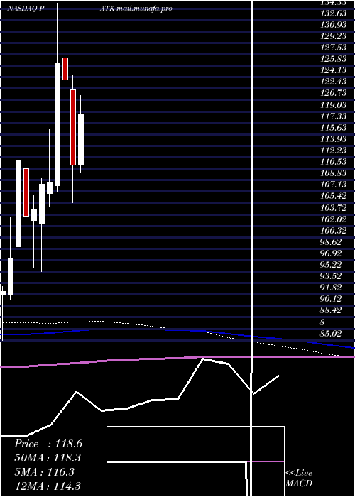  monthly chart PatrickIndustries