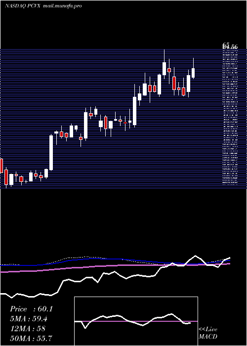  weekly chart VaxcyteInc