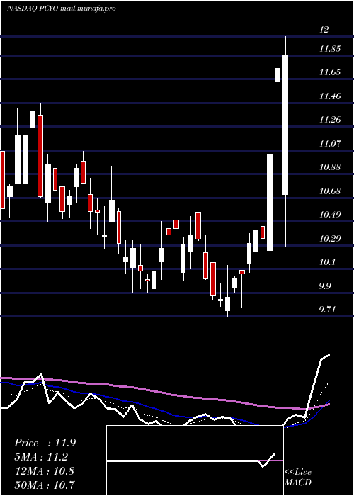  Daily chart PureCycle