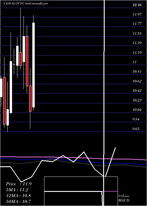  monthly chart PureCycle
