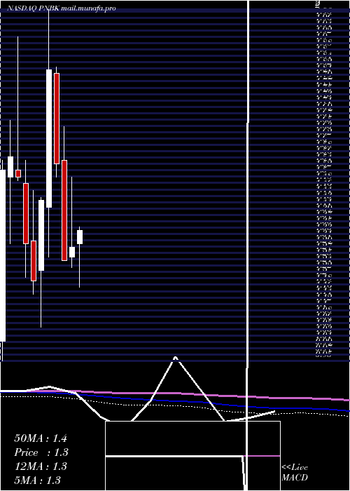  monthly chart PatriotNational