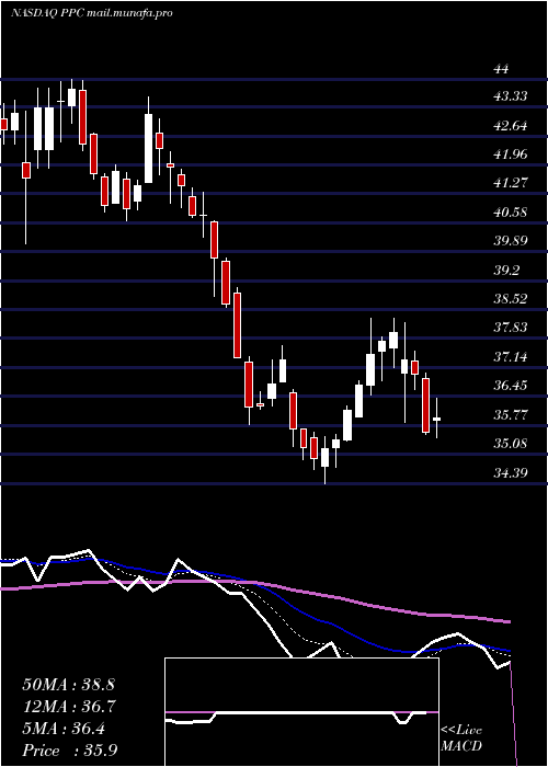  Daily chart PilgrimS