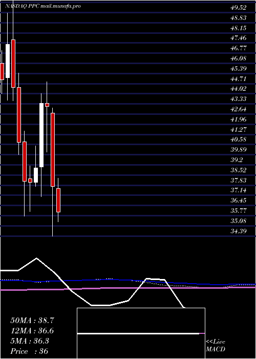  monthly chart PilgrimS
