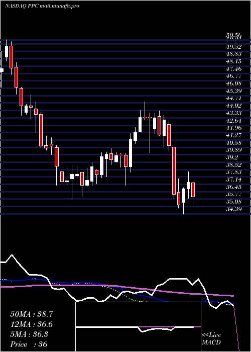  weekly chart PilgrimS