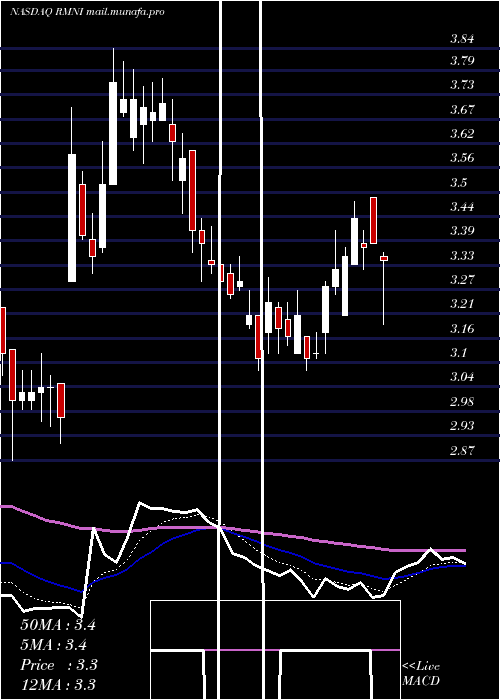  Daily chart RiminiStreet