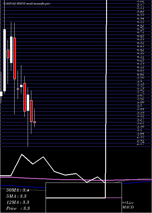  monthly chart RiminiStreet