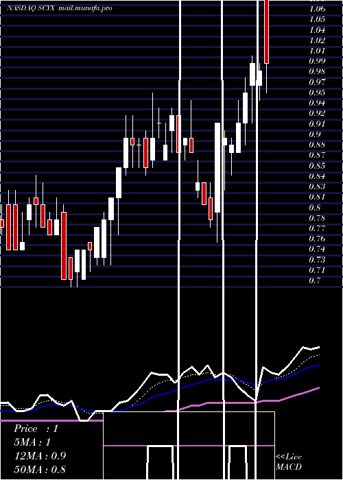  Daily chart ScynexisInc