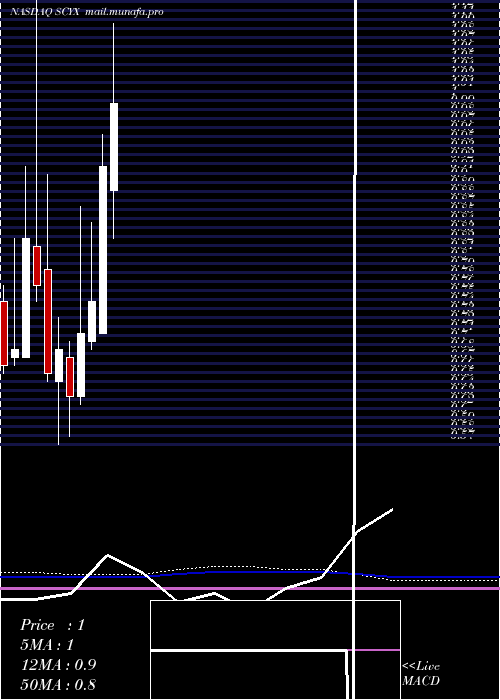  monthly chart ScynexisInc