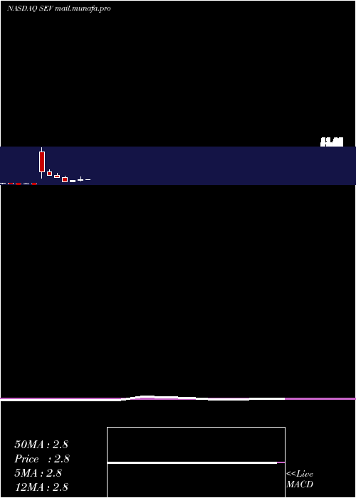  monthly chart SevconInc