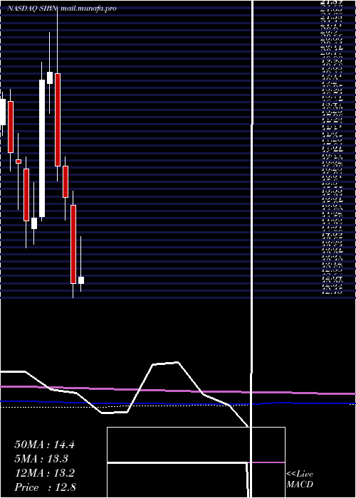  monthly chart SiBone
