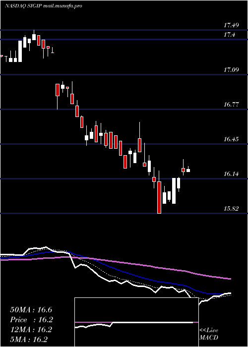  Daily chart SelectiveInsurance