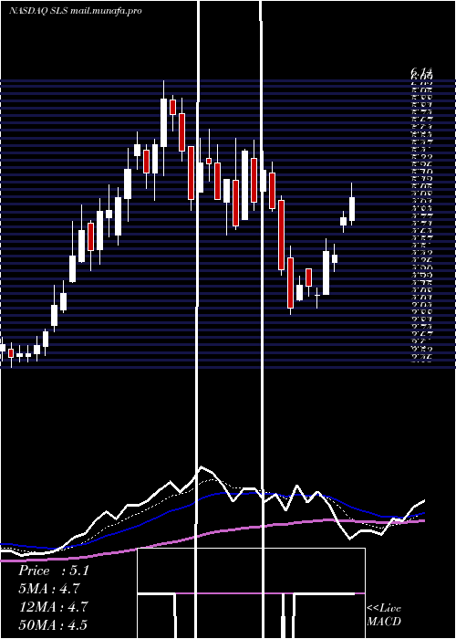  Daily chart SellasLife