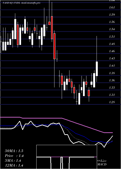  Daily chart SundialGrowers