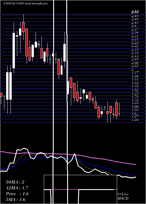  Daily chart SenestechInc