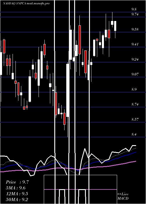  Daily chart SecurityNational