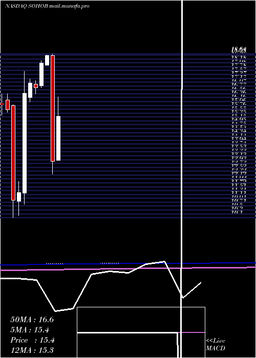  monthly chart SotherlyHotels