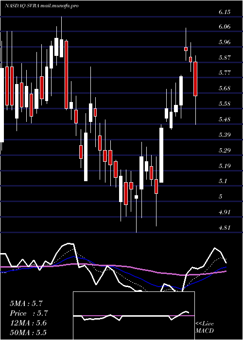  Daily chart SavaraInc