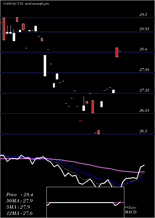  Daily chart LibertyTax