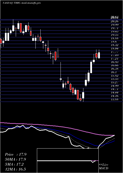  Daily chart ThunderBridge