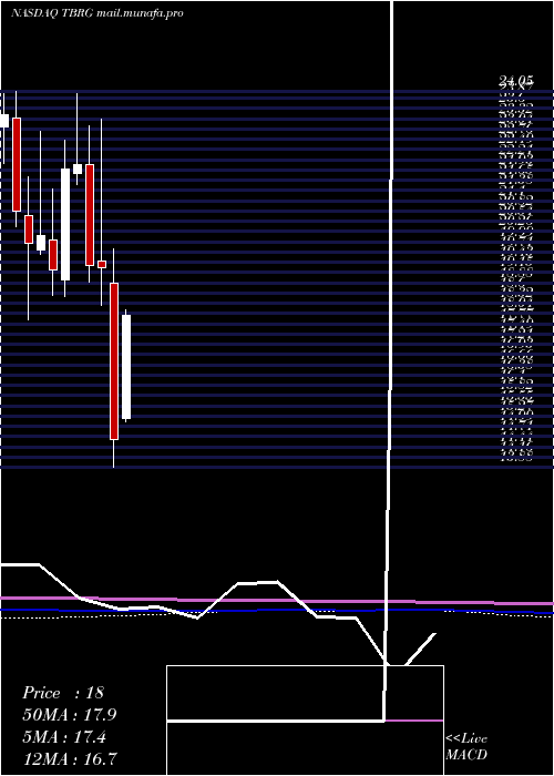  monthly chart ThunderBridge