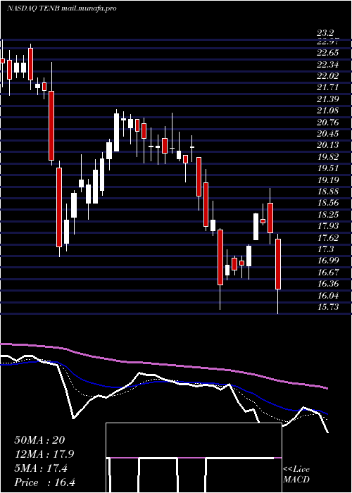  Daily chart TenableHoldings