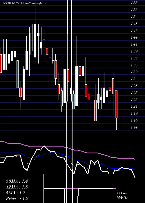  Daily chart TizianaLife