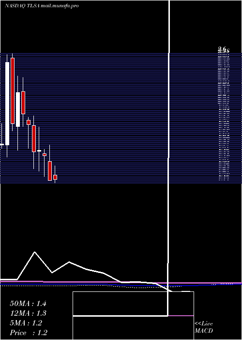  monthly chart TizianaLife