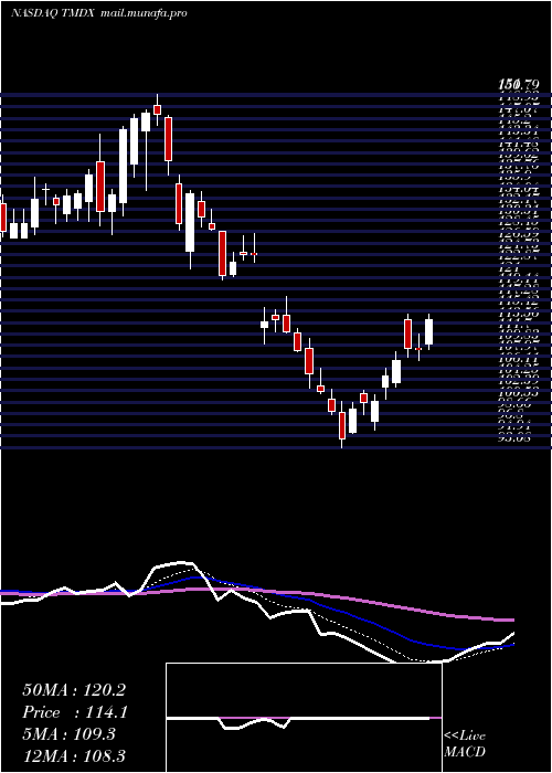  Daily chart TransmedicsGroup