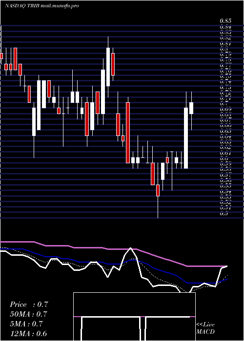  Daily chart TrinityBiotech