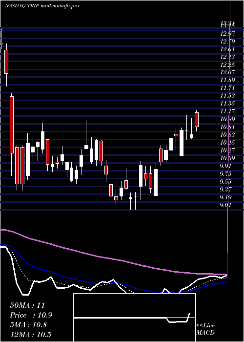 Daily chart TripadvisorInc