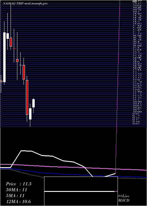  monthly chart TripadvisorInc