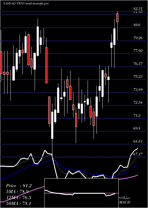 Daily chart TranscatInc