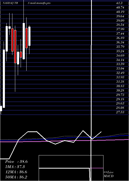  monthly chart TrimasCorporation