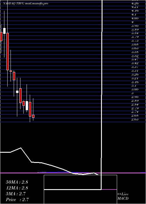  monthly chart TrivagoN