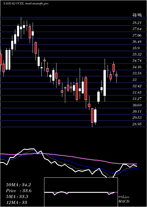  Daily chart VericelCorporation