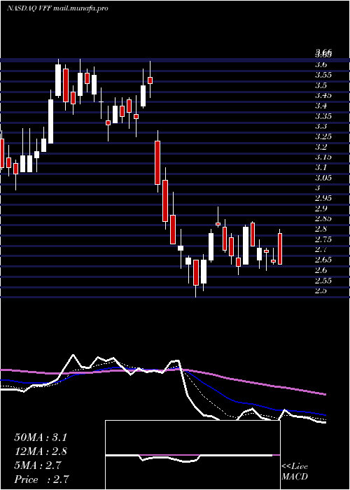  Daily chart VillageFarms