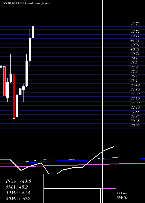  monthly chart VillageSuper