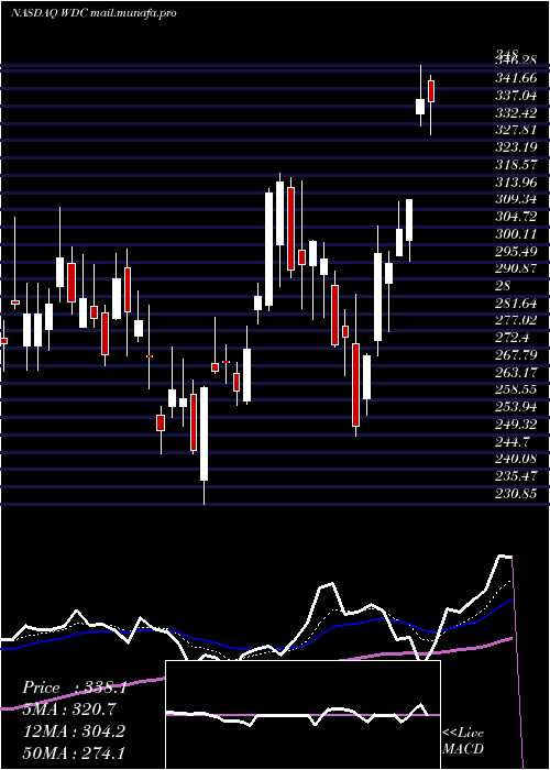  Daily chart WesternDigital