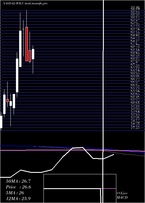  monthly chart GWilli