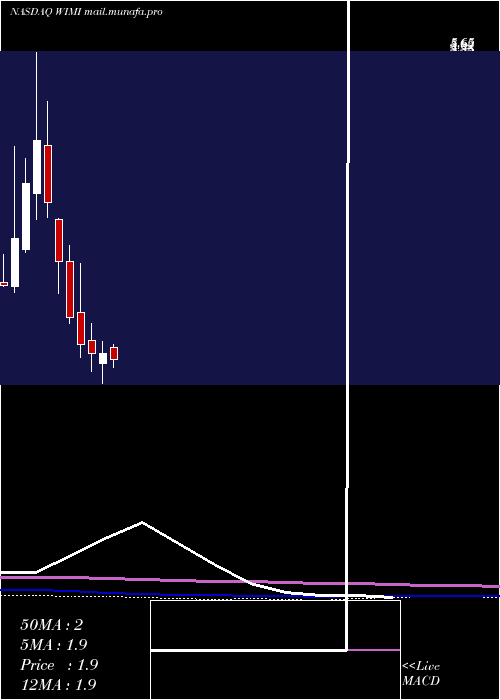  monthly chart WimiHologram