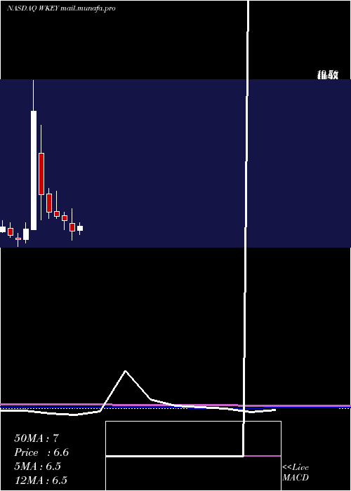  monthly chart WisekeyInternational