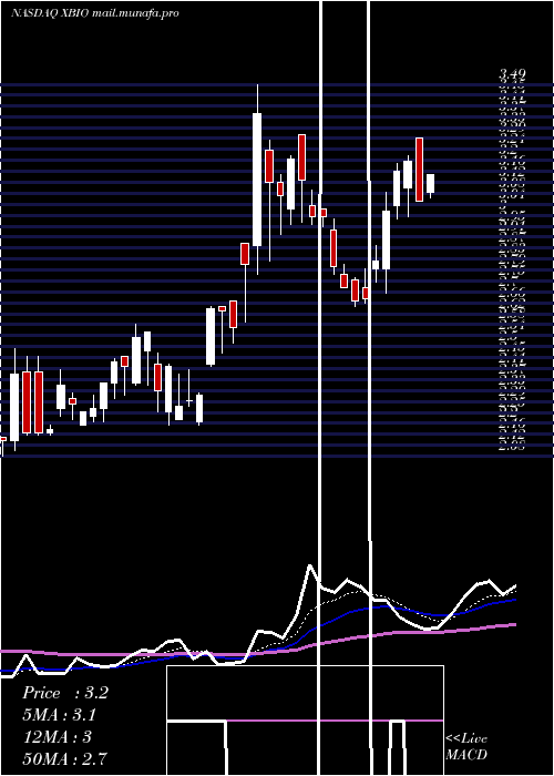  Daily chart XeneticBiosciences